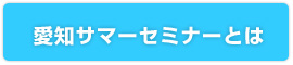 愛知サマーセミナーとは