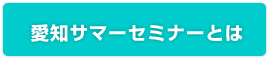 愛知サマーセミナーとは